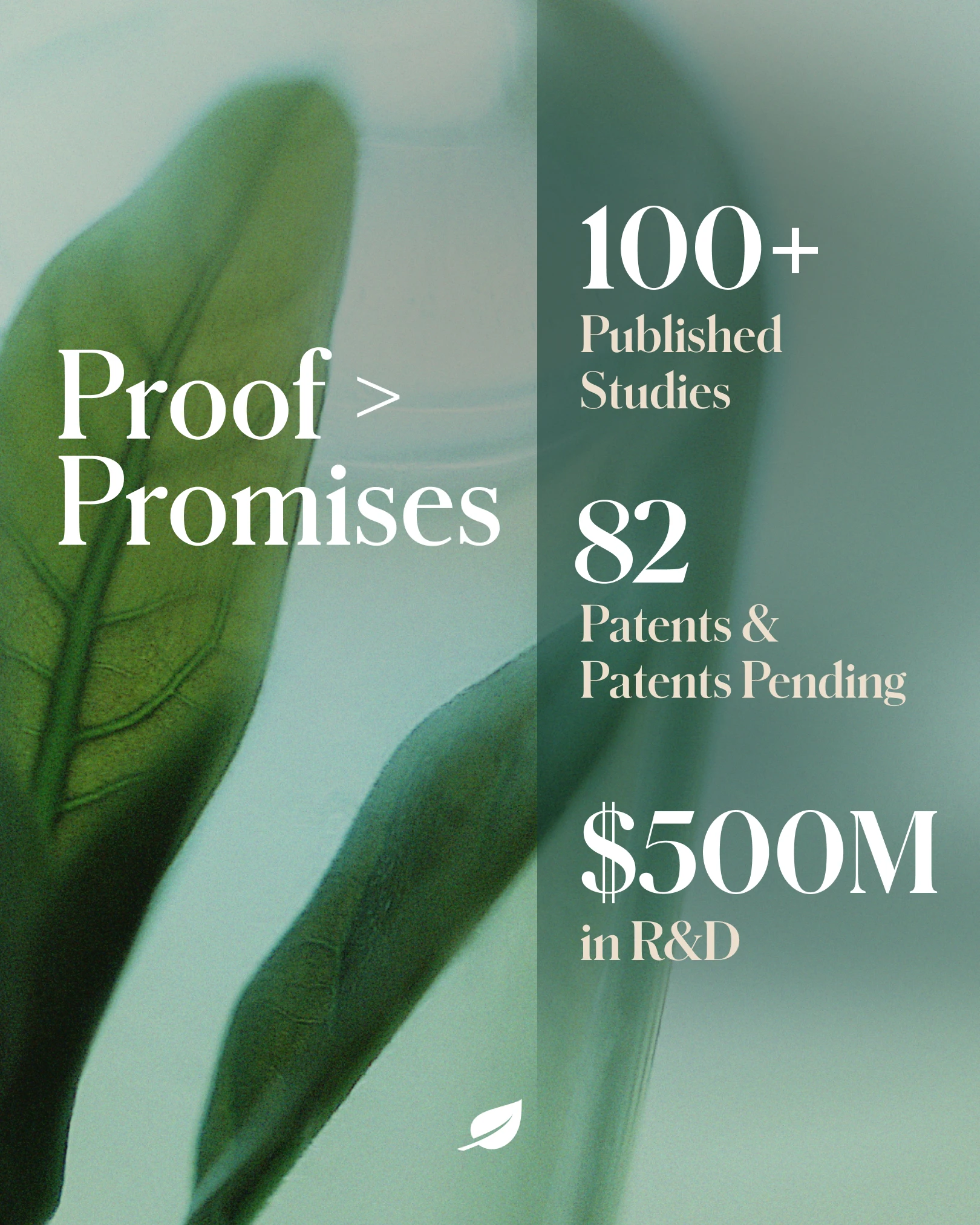 Shaklee NZ opportunity